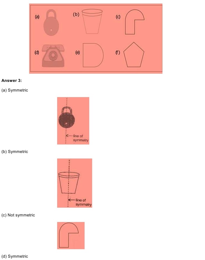 NCERT Solutions For Class 6 Mathematics Chapter 13 Symmetry Exercise 