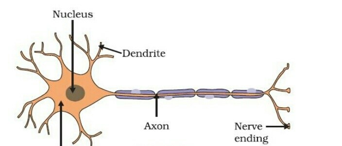 Science Class 8 Chapter 8 NCERT